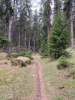 Bilder