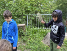 Bilder