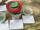 Bilder