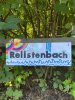 Bilder