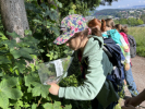 Bilder