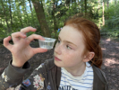 Bilder