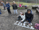 Bilder