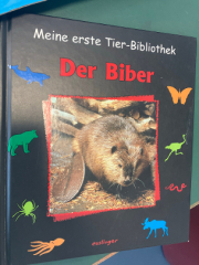 Bilder