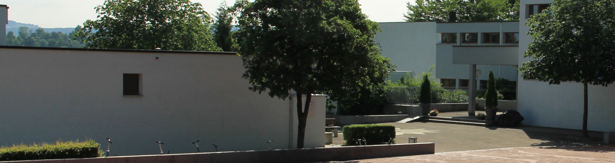 Schule Adliswil